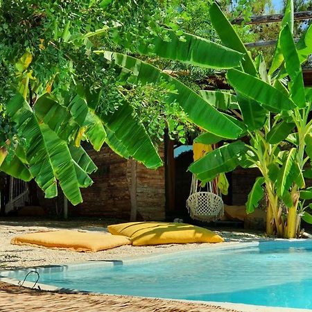 Mandala Camping Faralya Exterior foto
