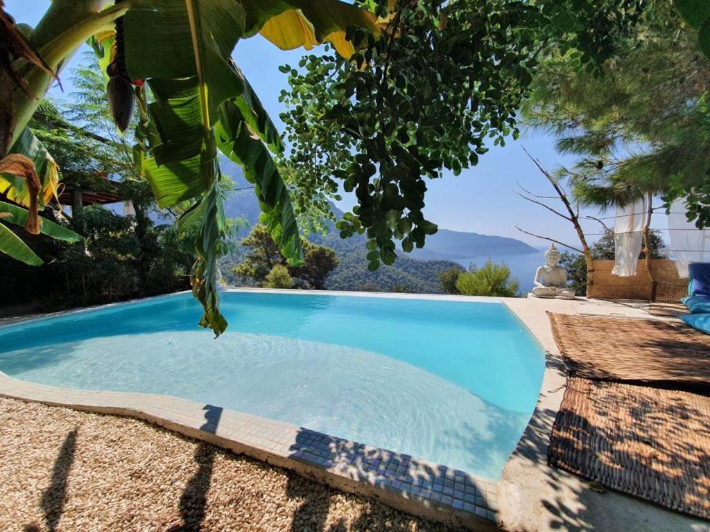 Mandala Camping Faralya Exterior foto