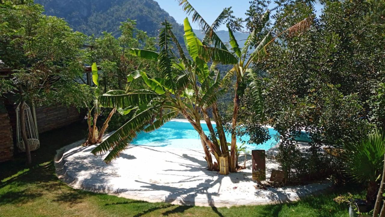 Mandala Camping Faralya Exterior foto