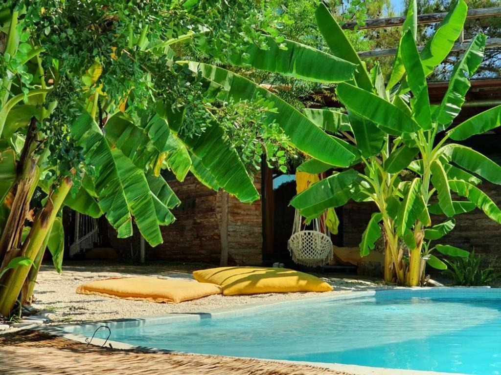 Mandala Camping Faralya Exterior foto
