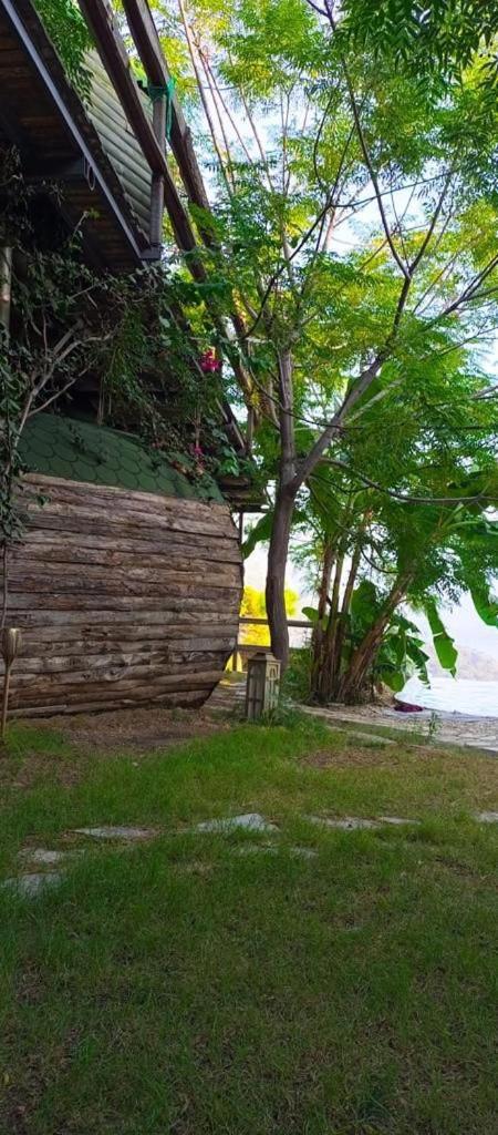 Mandala Camping Faralya Exterior foto