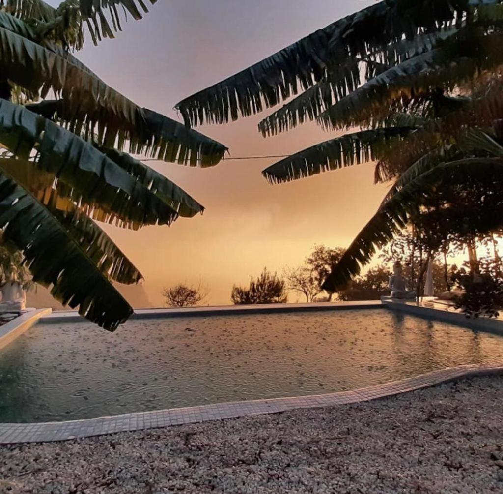 Mandala Camping Faralya Exterior foto
